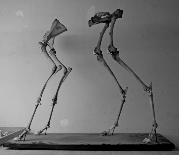 ArchivCorpusNr1klein